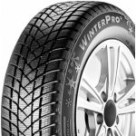GT Radial WinterPro 2 205/55 R16 91H – Hledejceny.cz