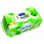Fresh Air Vlhčené Ubrousky Aloe Vera 100 ks – Zboží Dáma
