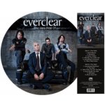 Everclear - The Very Best Of Picture Disc Vinyl LP – Hledejceny.cz