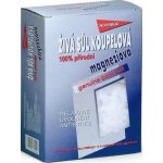 Regina živá sůl koupelová magnezie 500 g – Zboží Mobilmania