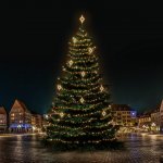 DECOLED LED světelná sada na vánoční stromy vysoké 21-23 m teplá bílá s dekory DZ141WS3 – Hledejceny.cz