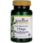 Swanson Chaga Mushroom 60 kapslí – Hledejceny.cz