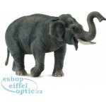 Collecta Slon asijský – Zboží Mobilmania