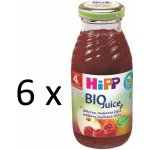 HiPP BIO Jablečno-malinová 6 x 200 ml – Zboží Dáma