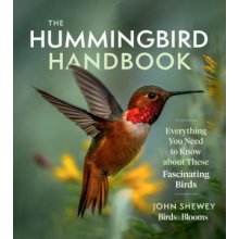 Hummingbird Handbook: Everything You Need to Know about These Fascinating Birds