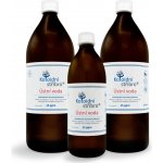 Koloidní stříbro s.r.o. 2 l + 500 ml Balení skleněné lahve – Zboží Mobilmania