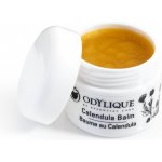 Odylique Měsíčkový balzám první pomoc pro suchou a popraskanou pokožku 50 g – Hledejceny.cz