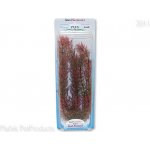 Tetra rostlina Red Foxtail Plus 30 cm – Zboží Mobilmania