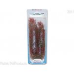 Tetra rostlina Red Foxtail Plus 30 cm – Hledejceny.cz