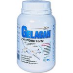 Gelacan Chondro Forte plv 500 g – Hledejceny.cz