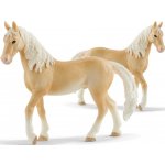 Schleich 13911 Horse Club Akhal-Teke stallion – Sleviste.cz