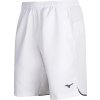 Pánské kraťasy a šortky Mizuno Hex Rect Short