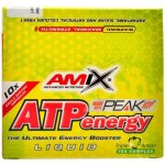 Amix ATP Energy Liquid 10 x citron 25 ml – Zbozi.Blesk.cz