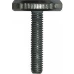 Šroub s vroubkovanou hlavou DIN 653 nízký M3x20 mm galvanicky pozinkovaný, 1 ks – Hledejceny.cz