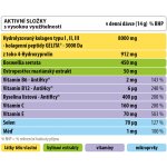 Orling Geladrink Fast nápoj černý rybíz 420 g – Hledejceny.cz