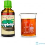 Bylinné kapky Kryptolepis tinktura 50 ml – Hledejceny.cz
