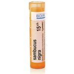 SAMBUCUS NIGRA POR 15CH GRA 4G – Hledejceny.cz