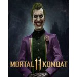 Mortal Kombat 11 The Joker – Hledejceny.cz