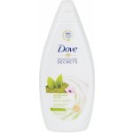 Dove Nourishing Secrets Awakening Ritual osvěžující sprchový gel 500 ml – Zbozi.Blesk.cz