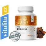 Mycomedica Ohňovec PRO 2 x 90 kapslí – Hledejceny.cz