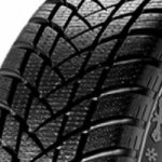 GT Radial WinterPro 2 205/55 R16 91H – Hledejceny.cz