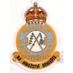 Nášivka: RAF 311. peruť – Hledejceny.cz