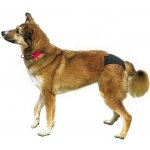 Trixie DeLuxe S-M Kalhotky hárací 32-39 cm – Zboží Mobilmania