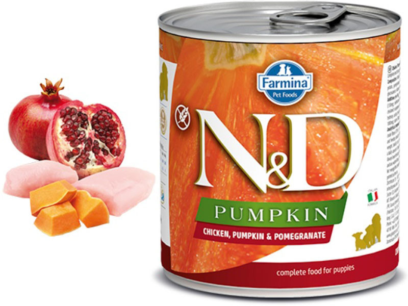 N&D Pumpkin Puppy Chicken & Pomegranate 2 x 285 g