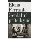Kniha Geniální přítelkyně 2 - Příběh nového jména - Elena Ferrante
