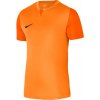 Pánské sportovní tričko Nike Pánské tréninkové tričko Dri-FIT Trophy 5 M DR0933-819