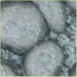 Pebeo Fantasy efektová barva Prisme 45 ml Moonstone – Hledejceny.cz