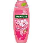 Palmolive Thermal Spa Gentle Massage sprchový gel 250 ml – Hledejceny.cz