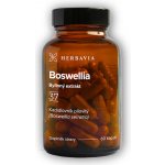 Herbavia.cz Boswellia bylinný extrakt 60 kapslí – Hledejceny.cz
