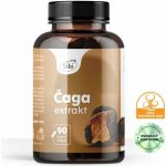 Sibipharm ČAGA EXTRAKT 90 kapslí 500 mg – Hledejceny.cz