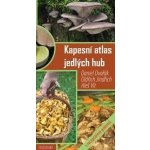Kapesní atlas jedlých hub s receptářem pokrmů - Dvořák D., Jindřich O., Vít A. – Sleviste.cz