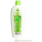 Luna bylinný šampon březový 430 ml – Hledejceny.cz