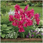 Duhovnice 'Mabel' 10 ks – Zboží Dáma