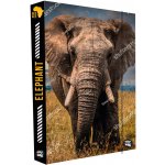 Karton P+P A4 Jumbo Geo Nature slon – Zboží Mobilmania
