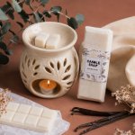 Candy Soap přírodní sojový vosk Vanilka 55 g – Hledejceny.cz