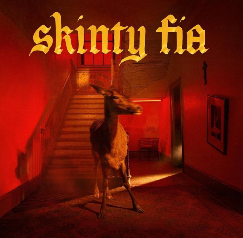 Fontaines D.C. - Skinty Fia CD