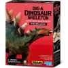 Živá vzdělávací sada Dinosauří kostra Stegosaurus