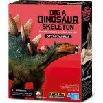 Dinosauří kostra Stegosaurus