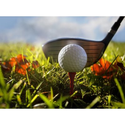 WEBLUX 16911245 Fototapeta vliesová Golf club and ball in grass Golfový klub a míč v trávě rozměry 270 x 200 cm – Zboží Mobilmania