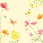 Dunisoft Ubrousek Poppy Field 60ks 40x40cm – Sleviste.cz