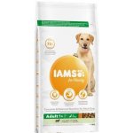 Iams Dog Adult Large Lamb 12 kg – Hledejceny.cz