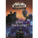 Kniha World of Warcraft - Stíny povstávají - Madeleine Rouxová