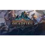 Pillars of Eternity 2: Deadfire (Obsidian Edition) – Zboží Dáma
