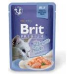 Brit Premium Cat Delicate Fillets in Jelly Salmon 85 g – Zboží Mobilmania