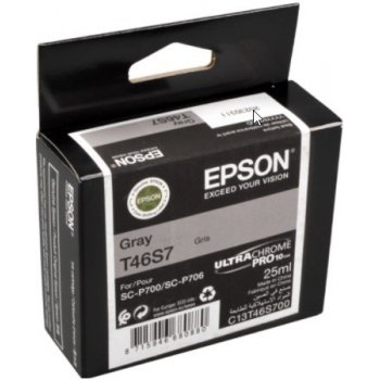 Epson T46S700 - originální