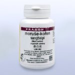 Moruše kořen Sangbaipi instantní prášek 20 g Pragon – Hledejceny.cz
